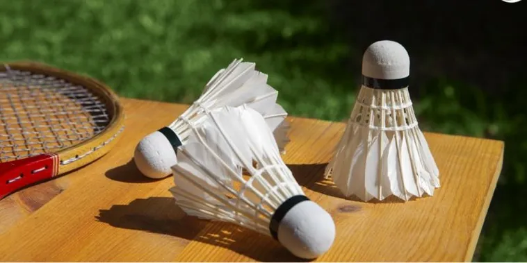 Bí Kíp Cá Cược Cầu Lông Thắng Đậm Tại Nhà Cái Win88