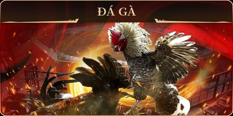 Bí Kíp Chơi Đá Gà GA28 Tại Win88 Để Thắng Nhanh Trong Vài Phút