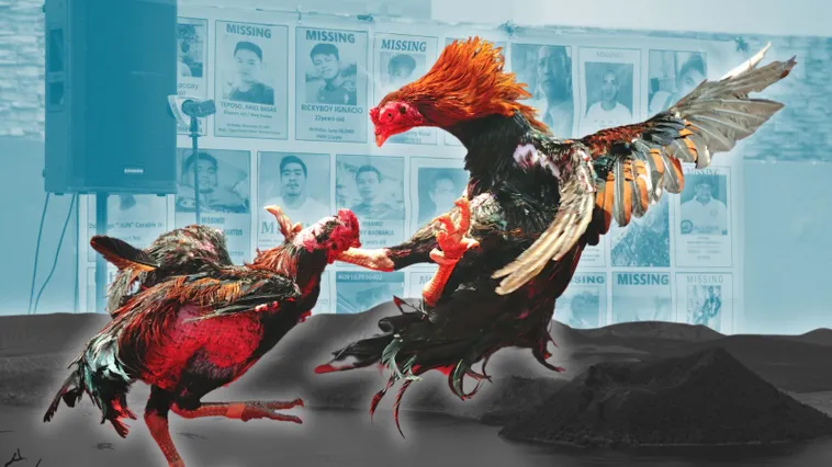 Hướng Dẫn Chơi Đá Gà Sabong Tại Win88 Để Thắng Lớn Nhanh Chóng