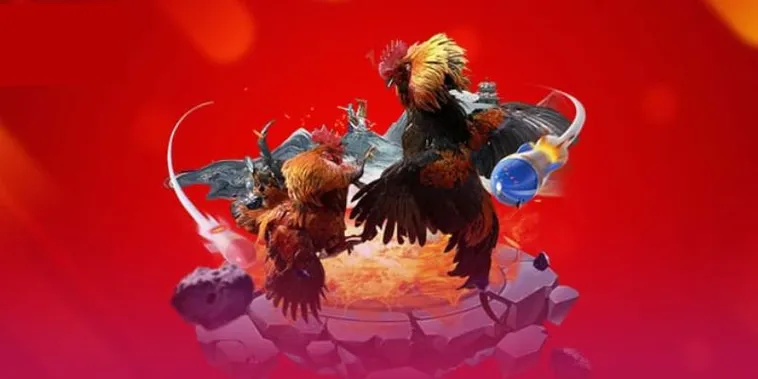 Bí Quyết Thắng Lớn Với Đá Gà 3D Tại Win88 Chỉ Trong 5 Phút